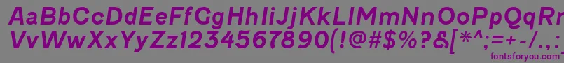 Шрифт FenwickrgBolditalic – фиолетовые шрифты на сером фоне