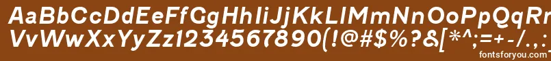 FenwickrgBolditalic Font – White Fonts on Brown Background