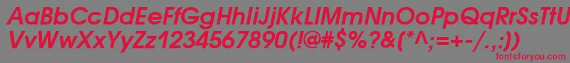 AvantgardecttBolditalic Font – Red Fonts on Gray Background