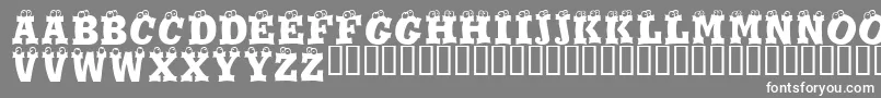 Eyesis ffy Font – White Fonts on Gray Background