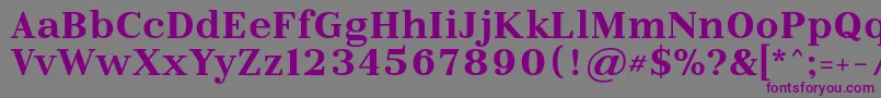 LitolandRegular Font – Purple Fonts on Gray Background