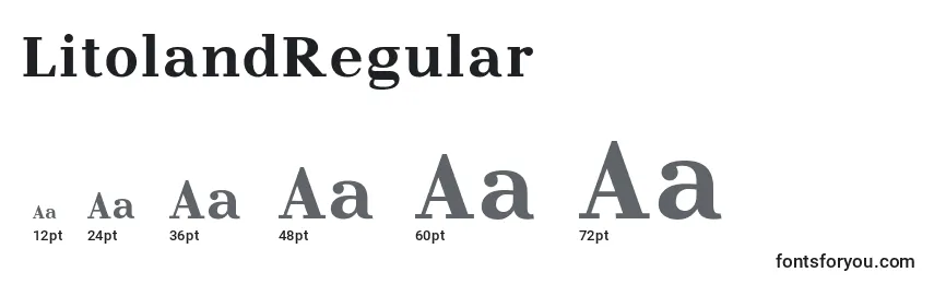 Размеры шрифта LitolandRegular
