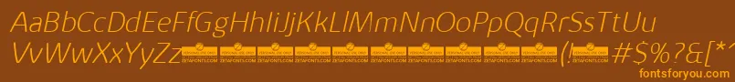 KabrioAlternateExtralightItalicTrial Font – Orange Fonts on Brown Background