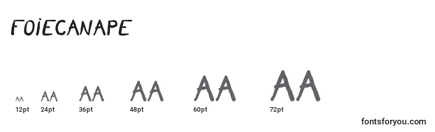 Размеры шрифта Foiecanape