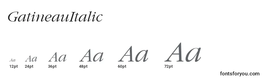GatineauItalic Font Sizes