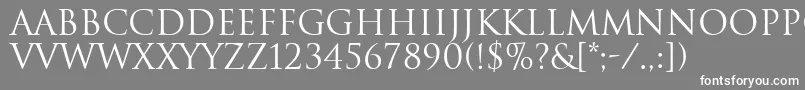 フォントTrajanRegular – 灰色の背景に白い文字