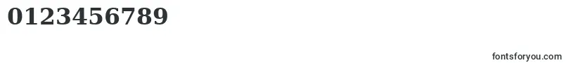 DejavuSerifBold Font – Fonts for Numbers and Digits