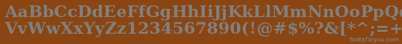 Шрифт DejavuSerifBold – серые шрифты на коричневом фоне