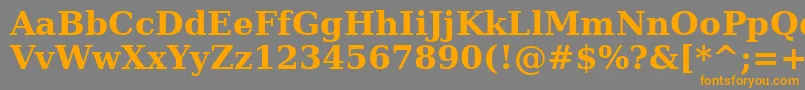 DejavuSerifBold Font – Orange Fonts on Gray Background