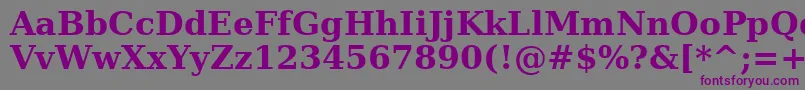 DejavuSerifBold Font – Purple Fonts on Gray Background