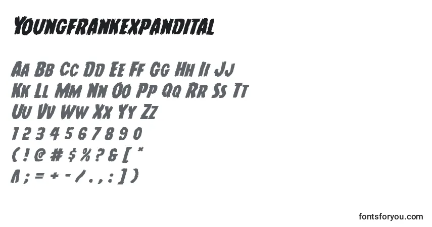Шрифт Youngfrankexpandital – алфавит, цифры, специальные символы