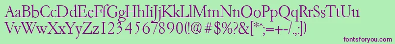 GarfeldserialXlight Font – Purple Fonts on Green Background