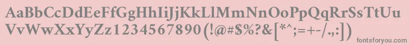 フォントAmiriBold – ピンクの背景に灰色の文字