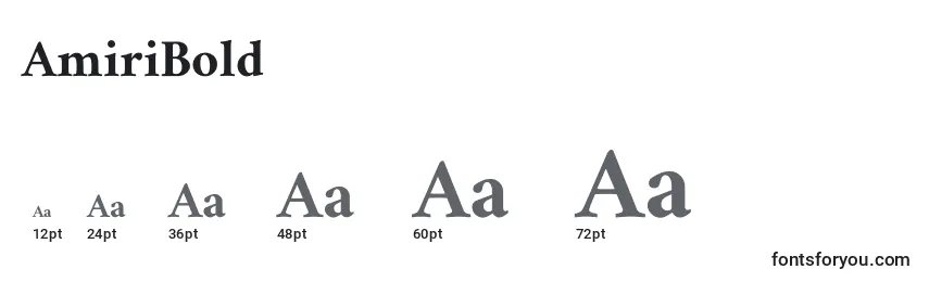AmiriBold Font Sizes