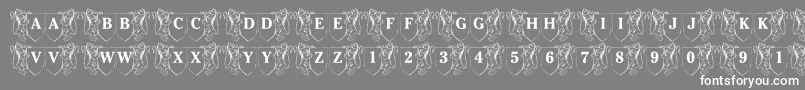 LmsFamilyCrest Font – White Fonts on Gray Background