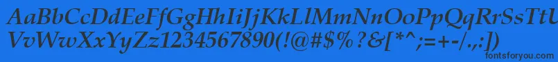 ZapfCalligraphic801BoldItalicSwa Font – Black Fonts on Blue Background