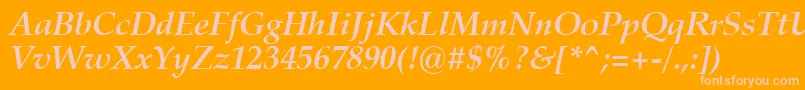 ZapfCalligraphic801BoldItalicSwa Font – Pink Fonts on Orange Background