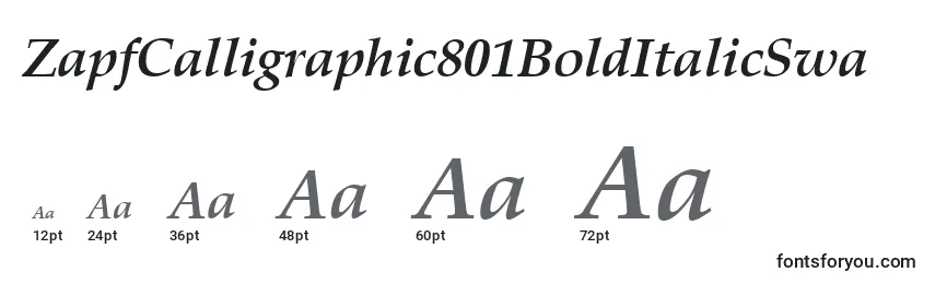 Größen der Schriftart ZapfCalligraphic801BoldItalicSwa