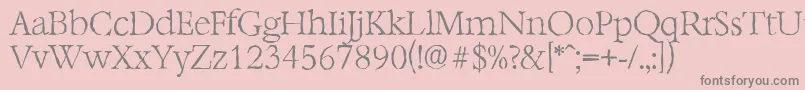 BernsteinantiqueXlightRegular Font – Gray Fonts on Pink Background