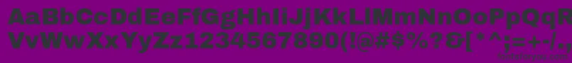 ArchivoblackRegular Font – Black Fonts on Purple Background