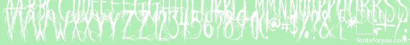 RavenScream Font – White Fonts on Green Background