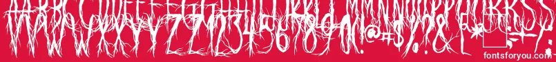 RavenScream Font – White Fonts on Red Background