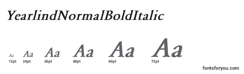 Размеры шрифта YearlindNormalBoldItalic