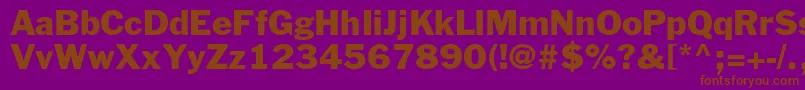 FranklingothicstdRoman Font – Brown Fonts on Purple Background