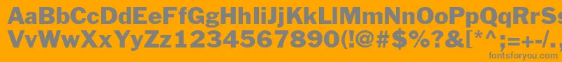 フォントFranklingothicstdRoman – オレンジの背景に灰色の文字