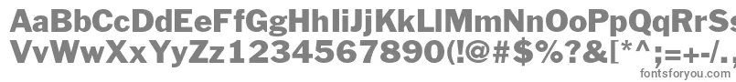 フォントFranklingothicstdRoman – 白い背景に灰色の文字