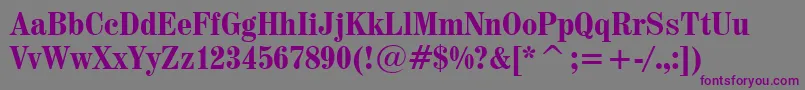 Шрифт Century725BoldCondensedBt – фиолетовые шрифты на сером фоне