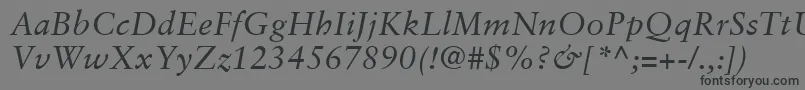 SabonLtItalic Font – Black Fonts on Gray Background