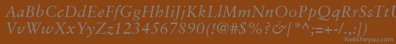 フォントSabonLtItalic – 茶色の背景に灰色の文字