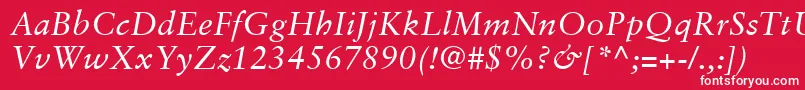 フォントSabonLtItalic – 赤い背景に白い文字