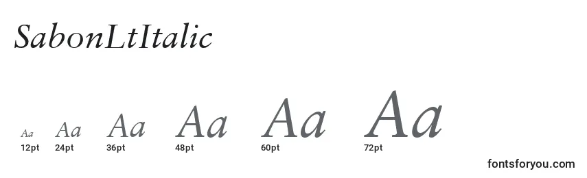 Размеры шрифта SabonLtItalic