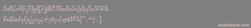 NeueRudelskopf Font – Pink Fonts on Gray Background