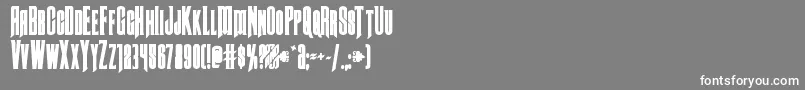Butchsundancebold Font – White Fonts on Gray Background
