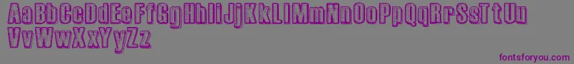 RvdPrintplate Font – Purple Fonts on Gray Background