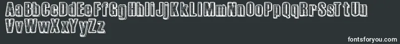 RvdPrintplate Font – White Fonts on Black Background