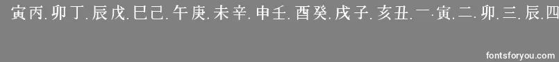 ChineseGeneric1Regular-Schriftart – Weiße Schriften auf grauem Hintergrund