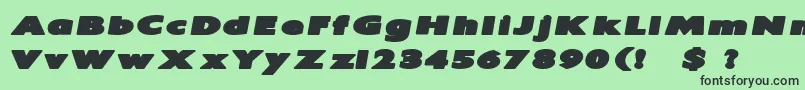 IrtuskBoldItalic Font – Black Fonts on Green Background