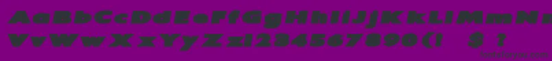 IrtuskBoldItalic Font – Black Fonts on Purple Background