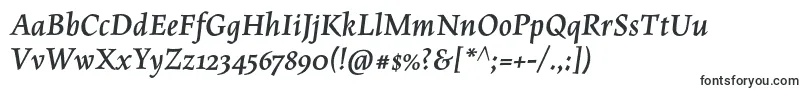 MaiolaproBolditalic Font – Fonts for Adobe Illustrator