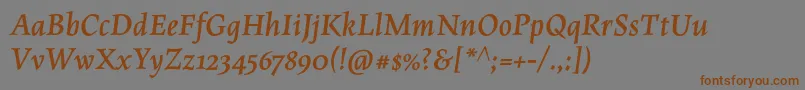 MaiolaproBolditalic Font – Brown Fonts on Gray Background