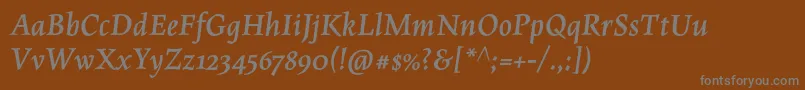 MaiolaproBolditalic Font – Gray Fonts on Brown Background