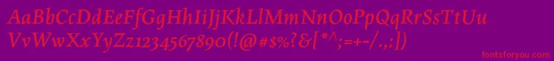 MaiolaproBolditalic Font – Red Fonts on Purple Background