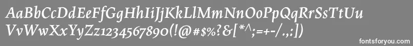 MaiolaproBolditalic Font – White Fonts on Gray Background
