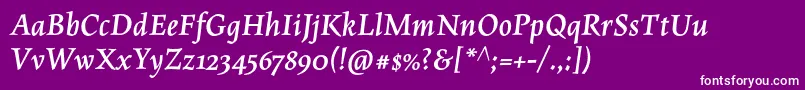 MaiolaproBolditalic Font – White Fonts on Purple Background