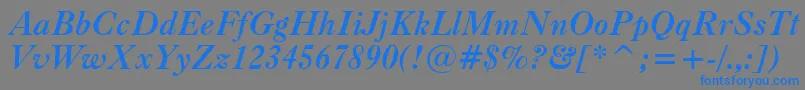 CaslonBoldItalicBt Font – Blue Fonts on Gray Background
