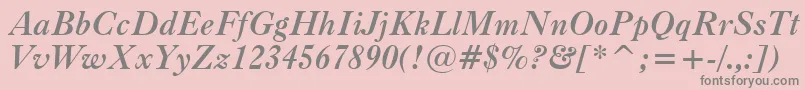 CaslonBoldItalicBt Font – Gray Fonts on Pink Background